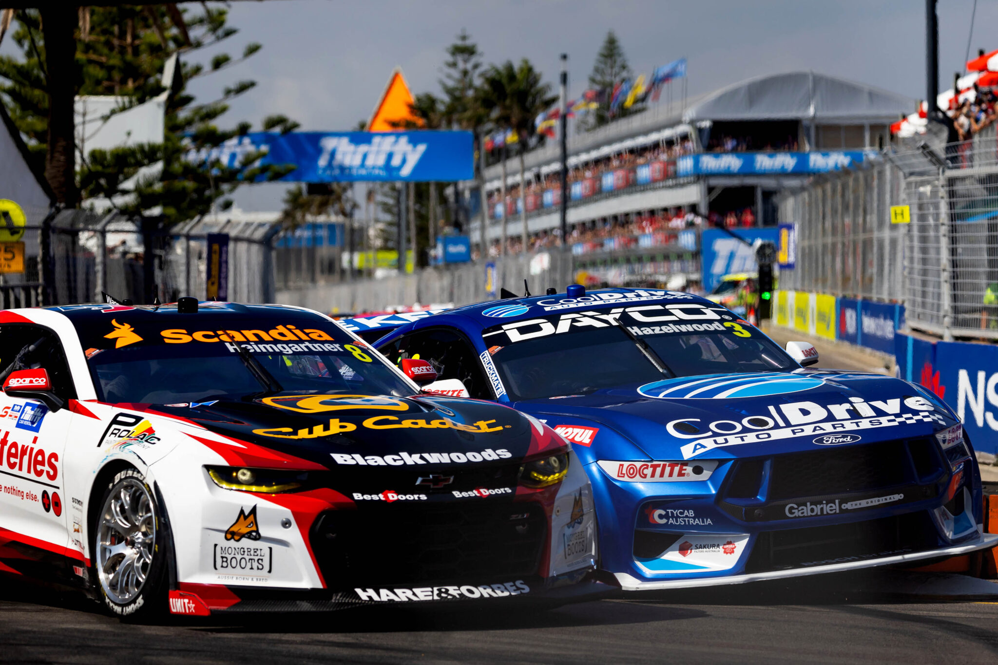 Newcastle Racing Fs Power Rankings: Newcastle β The Race Torque